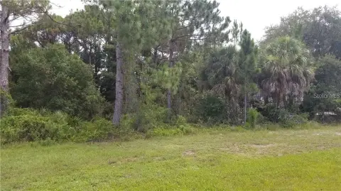 Land on Tamiami Trail