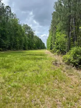 Vacant Hunting & Working Ranch Land