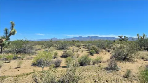 Off-Grid Escape Land Parcel