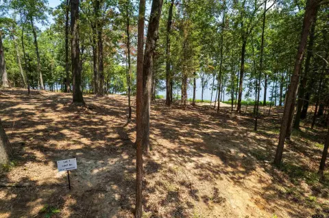 Waterfront Lake Lot