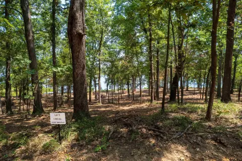 Waterfront Lakefront Land Lot