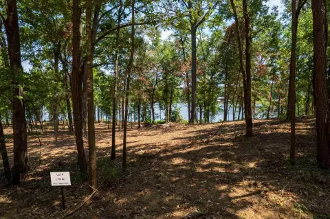 Waterfront Land Lot with Lake Views