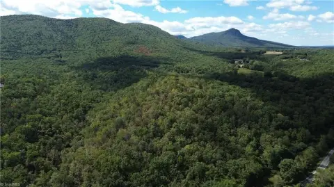 Hunting Land with Spring-Fed Streams