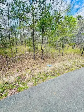 Hot Springs Village Subdivision Lot