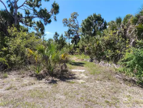 Port Charlotte Land Opportunity