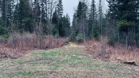 Adirondack Land Parcel For Sale