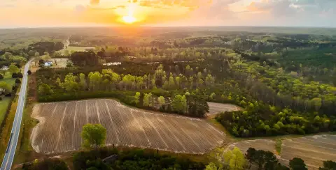 544 Acres Creedmoor Vacant Land