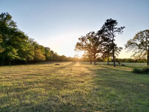 Timber and Open Land Tract
