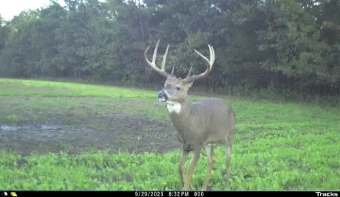 Hunting Land with RV Hookups