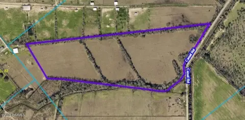 Cleared Land