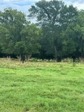 96.45 Acres with Trinity River Frontage