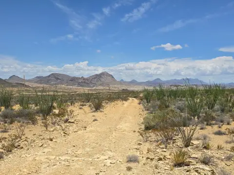 Recreation Land Tract with Varying Terrain
