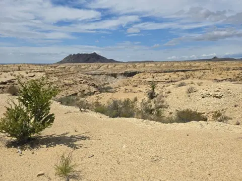Terlingua Vacant Land with Views