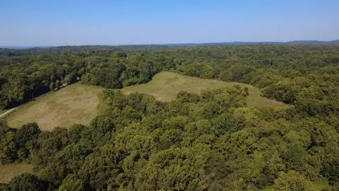 Hunting Land with Creek and Pond