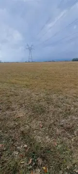 Partially Fenced Open Land Tract