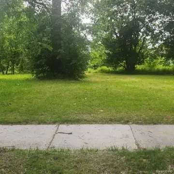 Detroit Vacant Land Opportunity