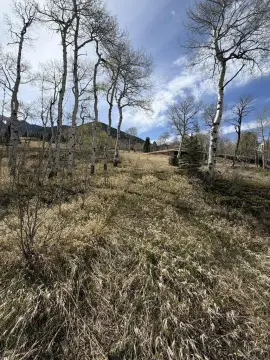 Cuchara Mountain Resort Land