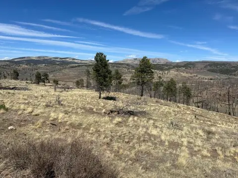 Forbes Park Corner Lot