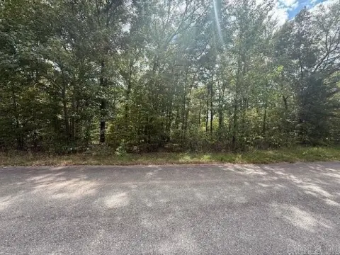 Residential Lot Near Ouachita River