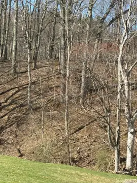 Residential Land in Forest Hills