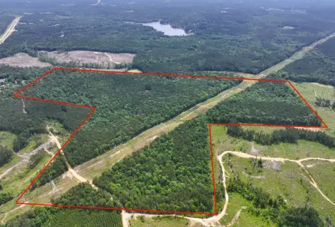 Turnkey Hunting Land with Camper