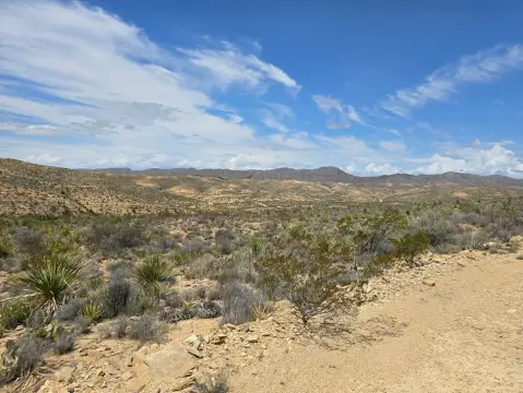 20 Acres Vacant Land Terlingua