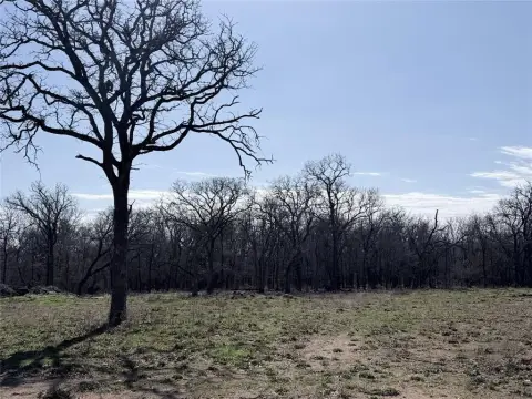 Spacious Lot in Whitney, TX
