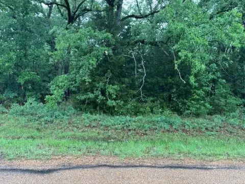 Buildable Lot Near Cedar Creek