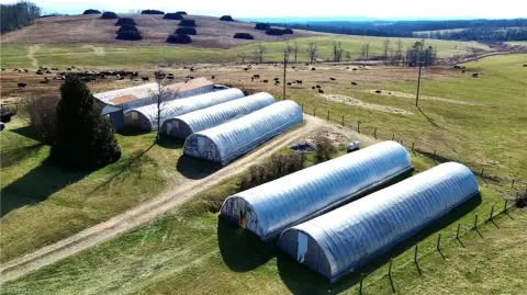 Greenhouse Nursery Business Opportunity