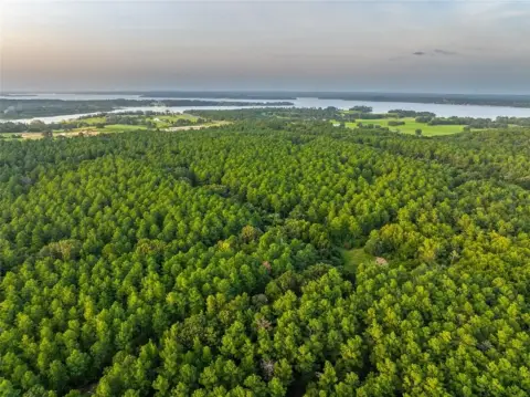 52.5 Acres of Wooded Land