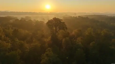 Mena, AR Acreage For Sale