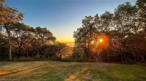Wooded Hunting Land
