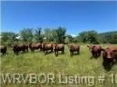 Cattle Ranch With Working Pens