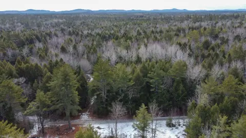 Recreation Land with Pond Road Access