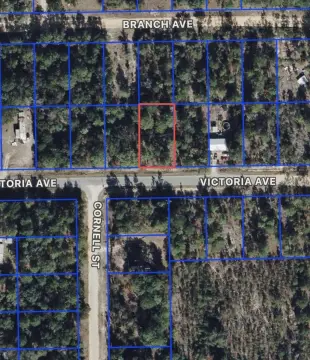 Residential Land in Interlachen, FL