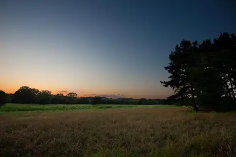 East Texas Hunting and Recreational Property