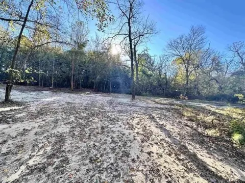 Unrestricted Land in Larue, Texas