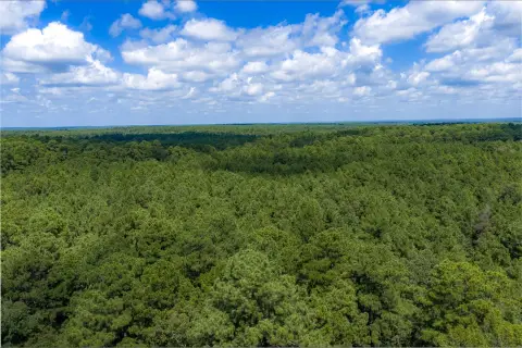 37-Acre Hunting Land With Cabin