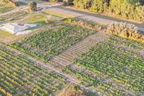 Pasco County Agricultural Land Investment