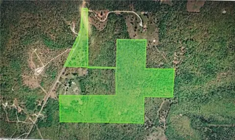 Wooded Hunting Land
