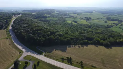 Wooded Land with Walnut Trees
