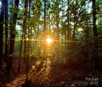 Large Acreage Private Retreat Land