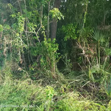 Residential Land in Merritt Island