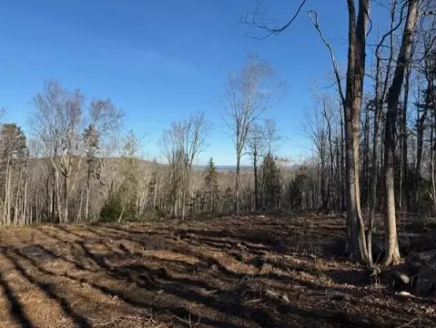 Cleared Acre Lot with Views