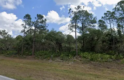 Residential Lot in Port Charlotte