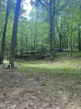 Vacant Land in White Birch Lakes