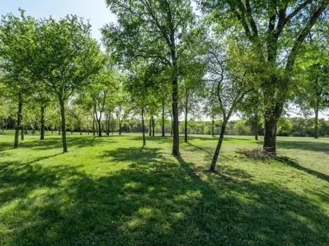 Cleared Land in White Bluff