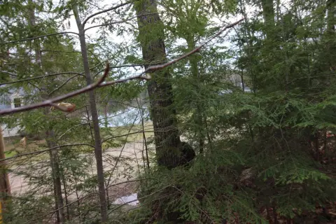 Scenic Waterview Lot in Milton