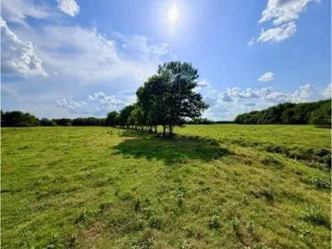 Ranch with Pasture and Ponds