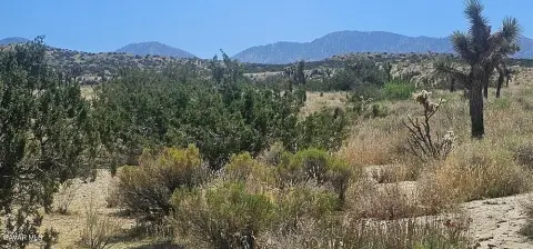 20 Acres Vacant Land Parcel